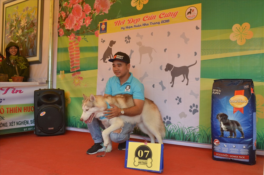 Chú chó giống Husky tạo dáng bên chủ nhân. Ảnh: Châu Tường