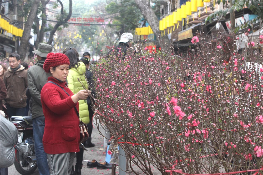 Chợ hoa nằm trên phố Hàng Lược, mở rộng sang cả các con phố lân cận: Hàng Chai, Hàng Rươi, Hàng Mã, Chả Cá... thu hút hàng nghìn thương nhân buôn bán chủ yếu là các loại cây, hoa truyền thống như: đào, quất, cúc, thược dược, violet...