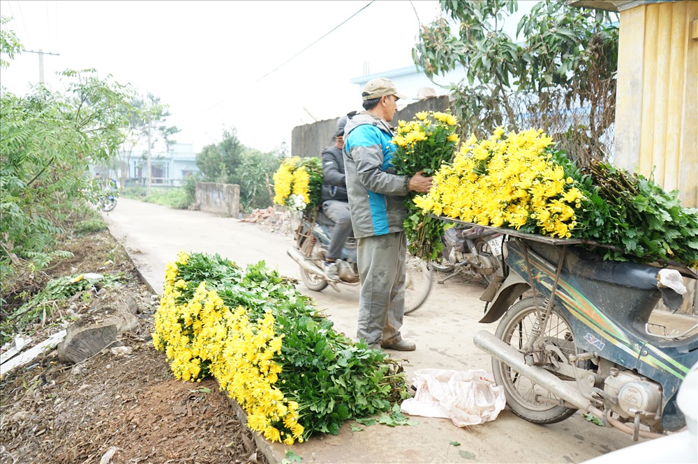 Hoa của làng Mỹ Tân được bán cho khắp các tỉnh phía Bắc: Thái Bình, Ninh Bình, Hải Phòng, Thanh Hóa, Vinh...