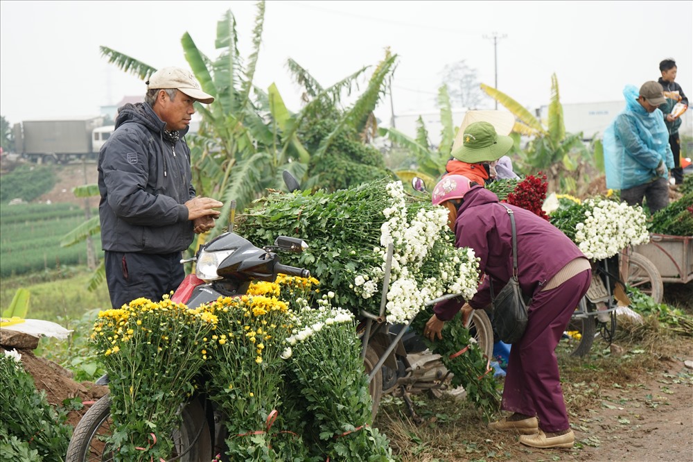 Chợ hoa Mỹ Tân tấp nập những ngày cuối năm