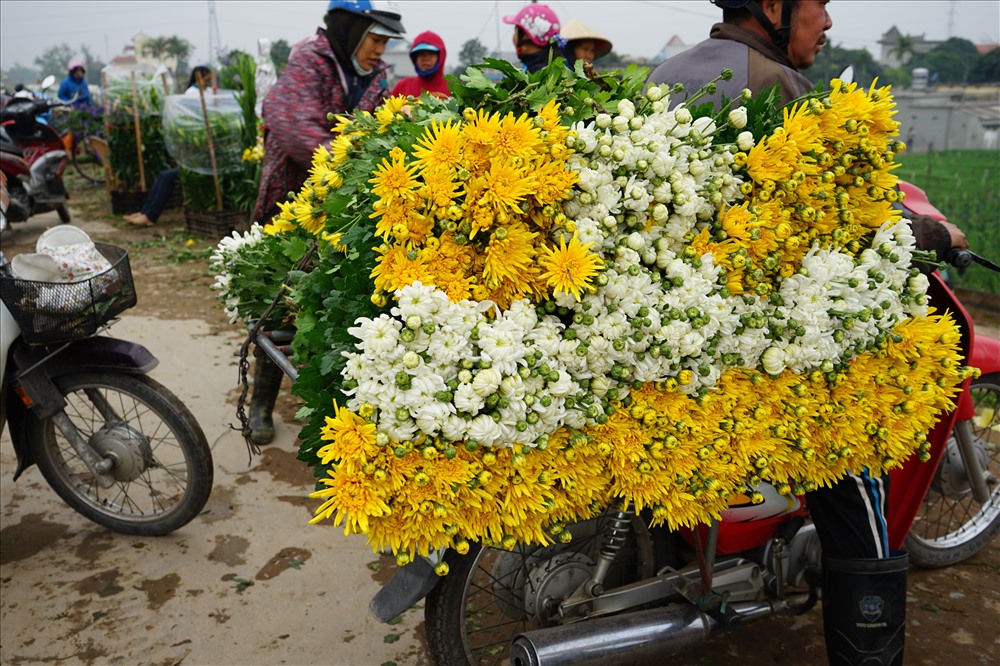 Dân làng hoa Mỹ Tân tất bật những ngày giáp Tết Nguyên Đán 2018