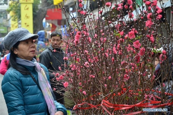 Nếu như ở Trung Quốc, trong mỗi dịp Tết Nguyên đán không thể thiếu đôi câu đối đỏ thì trong mỗi gia đình Việt Nam ngày Tết cũng không thể thiếu cành đào, cành mai hay đôi cặp bánh chưng.