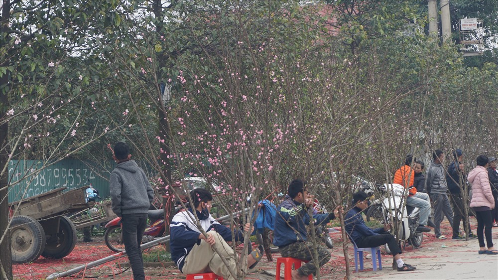 Nhiều người đứng cầm cành đào dọc hai bên đường để mời chào khách. Ảnh: QĐ