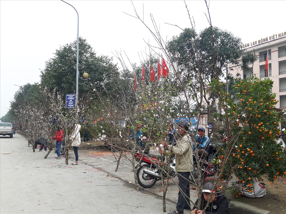 Đào chủ yếu là đào phai, được chặt từ vườn nhà. Ảnh: QĐ