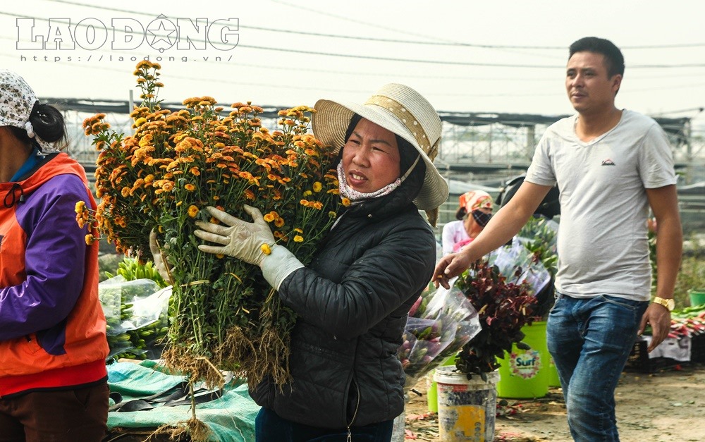 Các tiểu thương mua buôn, phục vụ ngày Lễ tình yêu và Tết Mậu Tuất 2018.