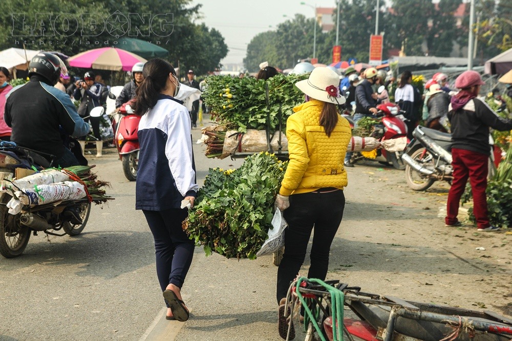 Các tiểu thương cho biết: sức mua hiện nay chưa nhiều, chủ yếu mọi người đến thưởng hoa, tham khảo giá hoặc đặt trước. Những ngày giáp 30 Tết mới thực sự là thời điểm đắt hàng.