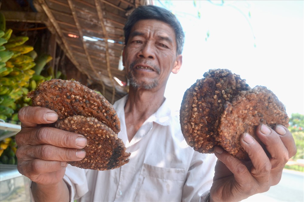 Sản phẩm của các gian hàng chuối hột cũng đa dạng hóa sản phẩm. Từ chuối chín được chế biến sẵn, mua về có thể ngâm rượu, làm thuốc ngay. (Ảnh: Lục Tùng)