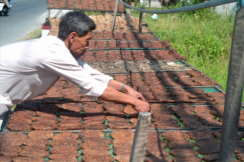 Cảnh phơi chuối hột đã chín thành nguyên liệu chính cho bài thuốc rượu “Ông uống, bà khen“. (Ảnh: Lục Tùng)