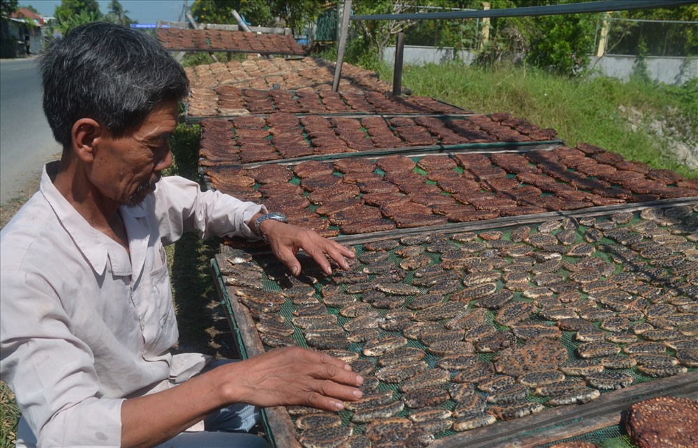 Chuối hột trái nhỏ hơn chuối hột nhà, hat to hơn, kích cỡ trái cũng nhỏ hơn, nhưng công dụng tốt hơn nên giá cao hơn. (Ảnh: Lục Tùng)