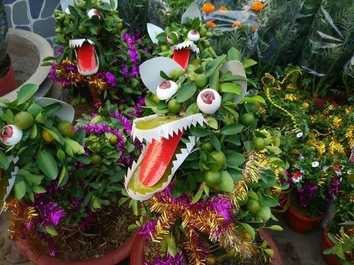 Đây phải chăng là chú chó lai rồng?