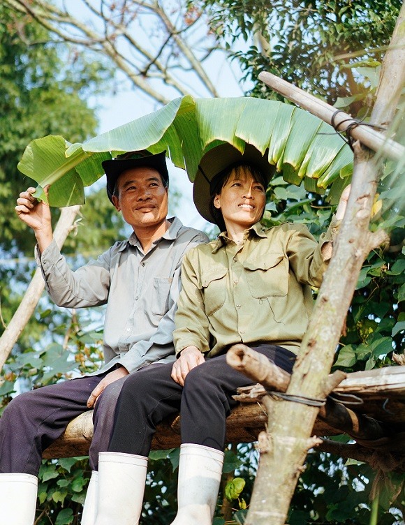 Những hình ảnh giản dị.