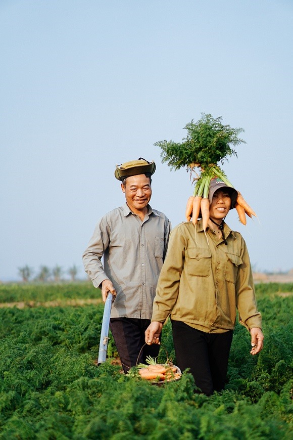 Bức hình hóm hỉnh.