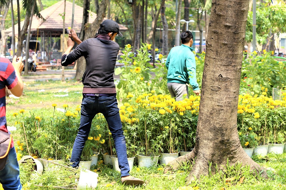 Khoảng 12h, khi tiếng loa của Ban tổ chức chợ hoa vang lên, anh Tùng cùng bạn dùng gậy sắt bắt đầu đập bỏ những chậu hoa trong gian hàng của mình. Ảnh: Trường Sơn