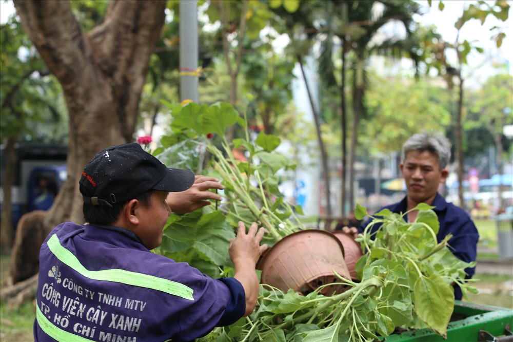 Sau khi những chậu hoa bị đập bỏ và đã bị lấy đi những chậu còn dùng được, số còn lại bị công nhân vệ sinh môi trường cho lên xe rác. Ảnh: Trường Sơn