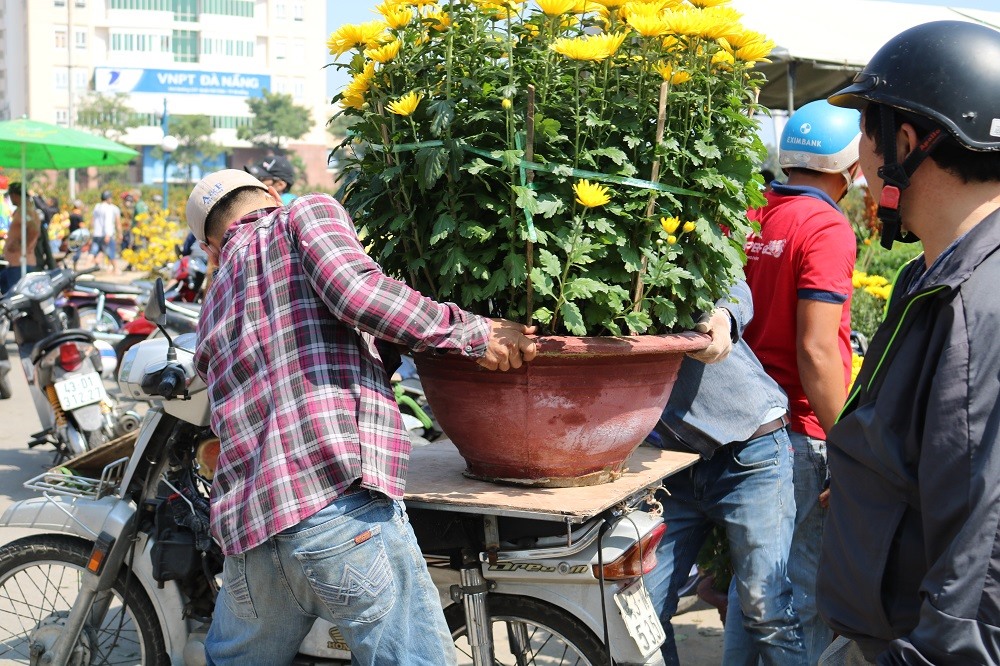 Bán hoa không thể bù vốn, nhiều người huy động gia đình “gánh” phần xe thồ để mong gỡ gạc chút ít. Ảnh: Trâm Nguyễn