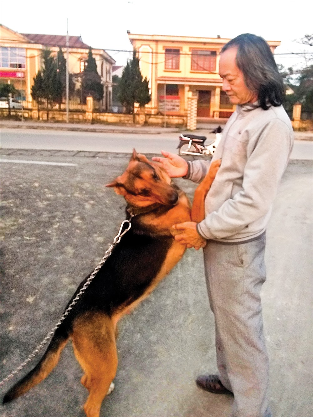 Chó Béc,giống chó Đức rất thông minh và lanh lợi. Ảnh: ML.