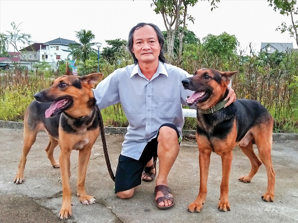 Đôi chó béc Đức có màu lông đẹp, to cao và rất thông minh. Ảnh: ML.