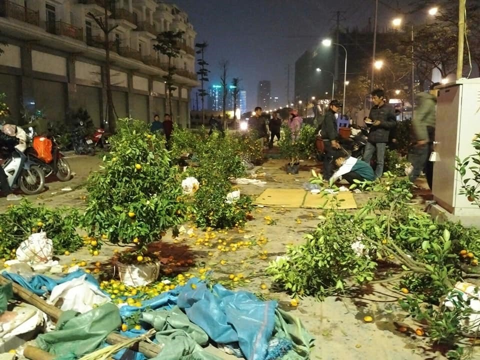 Nhiều chậy cây bị đập tan.
