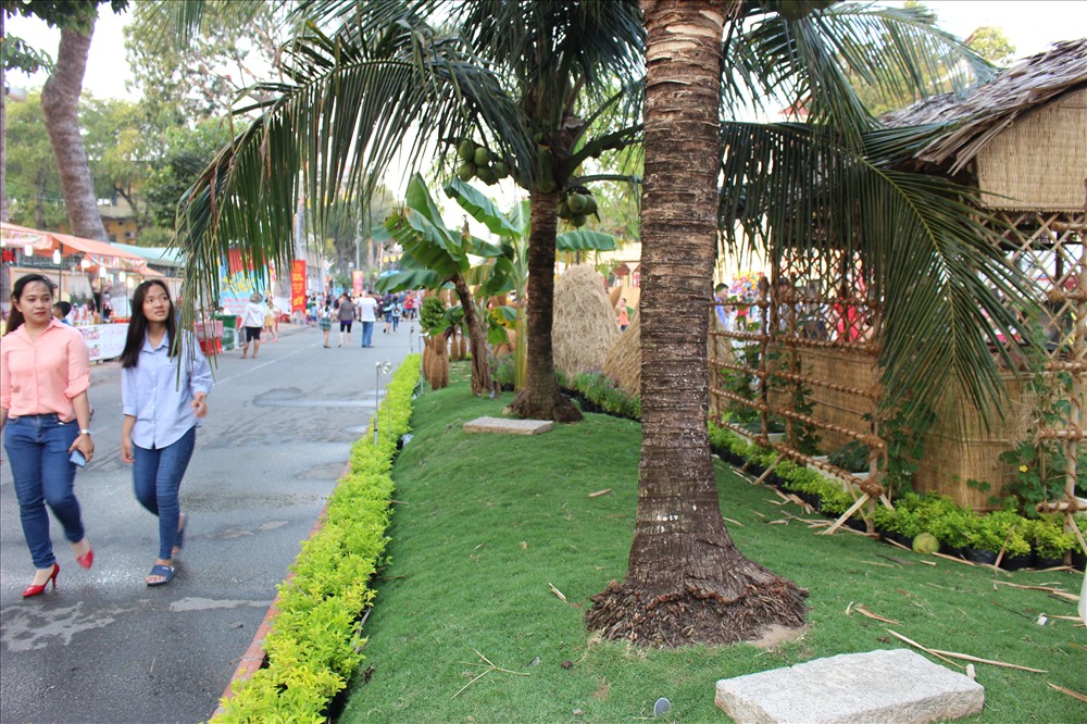 Bờ dừa thơ mộng.