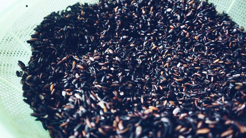 Những hạt nếp cẩm đều đặn chuẩn bị cho mẻ bánh tết. Ảnh. Đỗ Lê Vân Hải