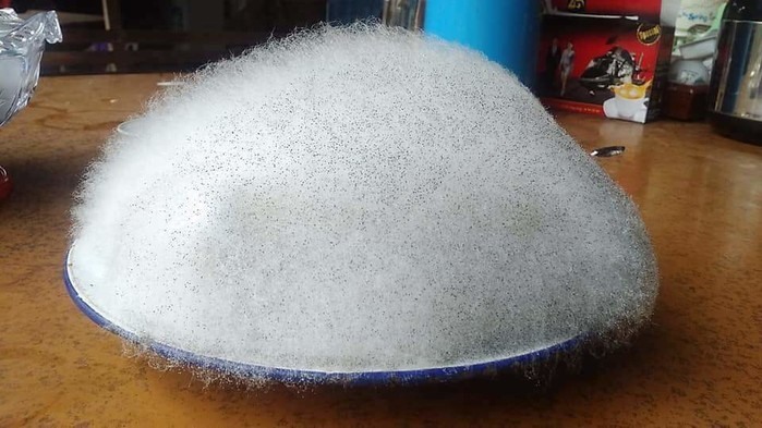 Nhìn tưởng bọt xà phòng nhưng mà thực ra là mốc.