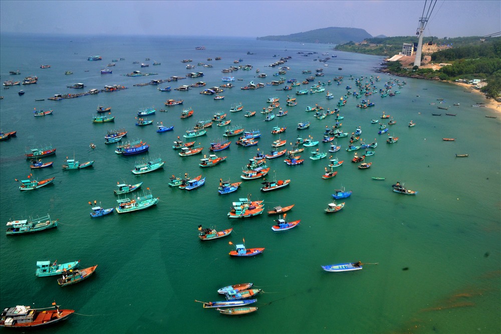Chiêm ngưỡng toàn cảnh đội hình của đoàn tàu đánh cá. (Ảnh: Lục Tùng)