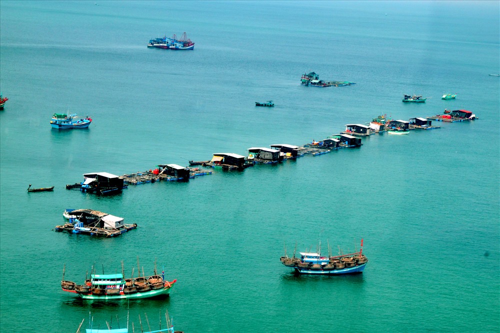 Thỉnh thoảng, mắt lại lóa lên với những hình ảnh lạ... (Ảnh: Lục Tùng)