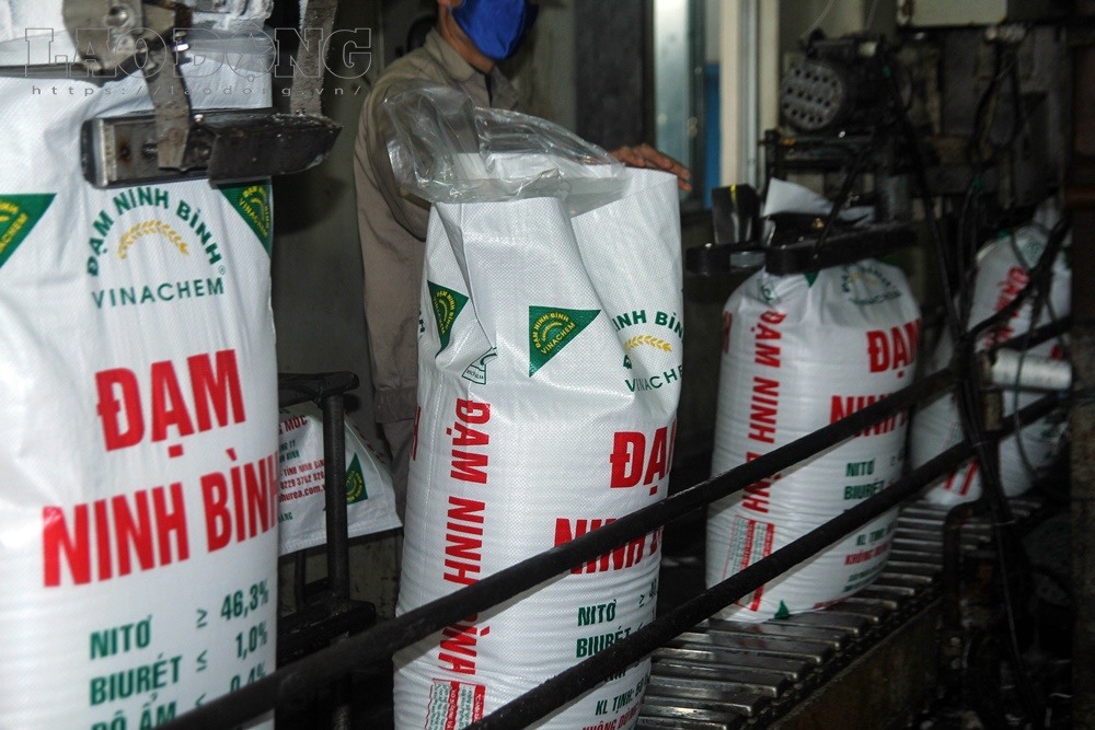 Đạm Ninh Bình tái khởi động.