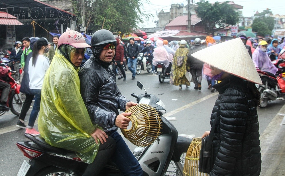 Đến 16h chiều, ượng người đổ về chợ Viềng càng đông khiến cho tuyến đường Trần Huy Liệu chật cứng cả hai chiều ra và vào chợ. Nhiều người phải chôn chân dưới trời mưa hàng giờ mới vào được chợ.