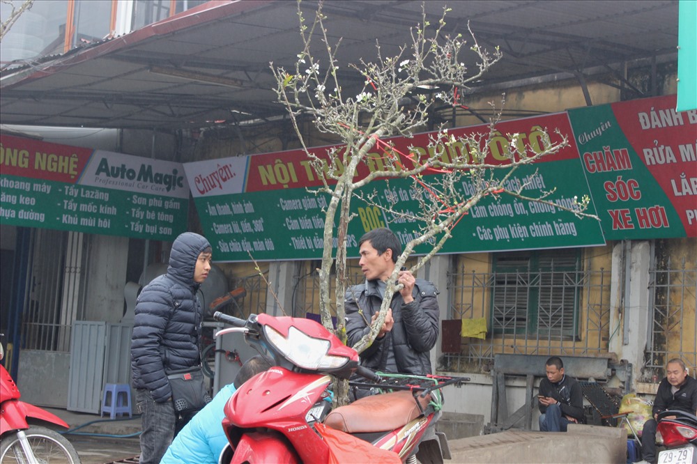 Khi khách hàng lựa chọn cành lê ưng ý, dịch vụ chở cành hoa lê đến tận nhà cho khách hàng.