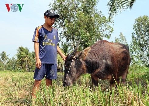 Hơn nữa, gia cảnh các em gặp nhiều khó khăn nhưng không tư lợi riêng.