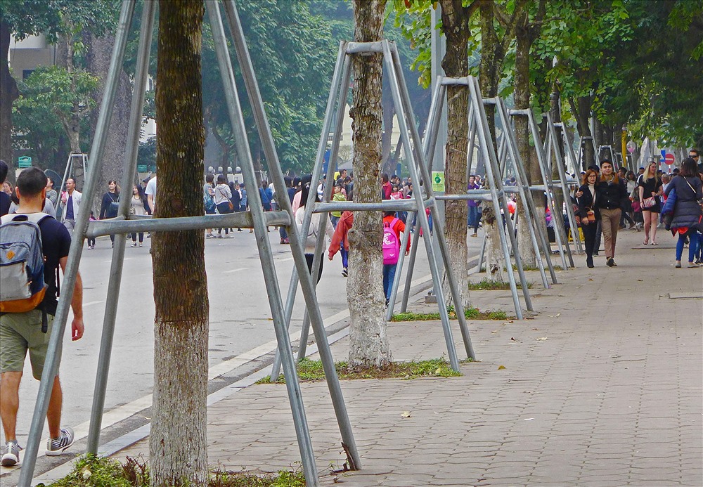 Khung thép không rỉ chống đỡ cây làm thành phố mất đi vẻ đẹp tự nhiên.