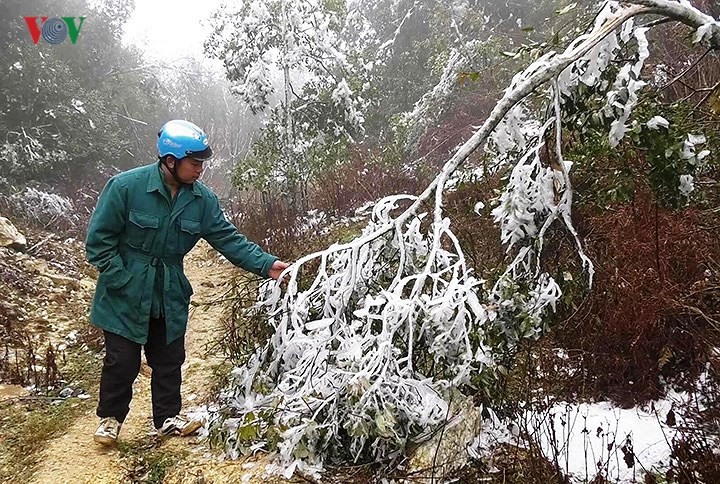 Người dân tò mò với tuyết.