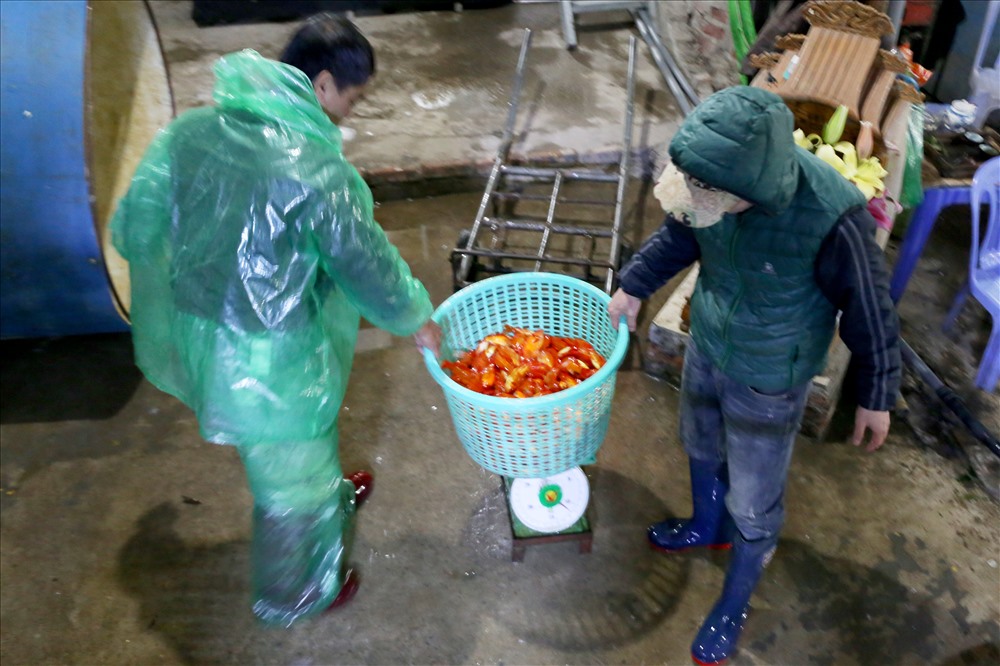 Những chiếc ô tô nối đuôi nhau đổ các loại cá dùng để làm lễ cúng ông Công ông Táo phục vụ nhu cầu của người dân ngày 23 tháng Chạp.