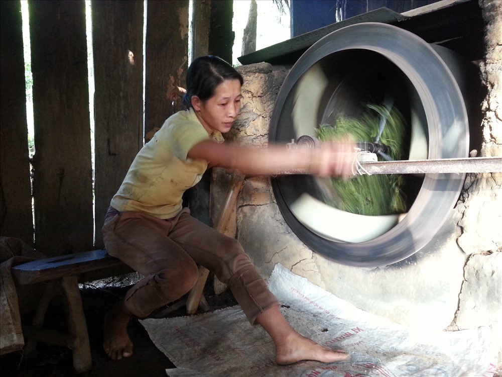 Sấy trà shan tuyết Khau Mút xã Thổ Bình, huyện Lâm Bình, tỉnh Tuyên Quang.