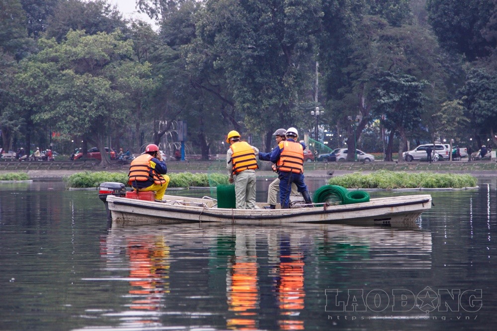 ...và dễ dàng quản lý chúng.