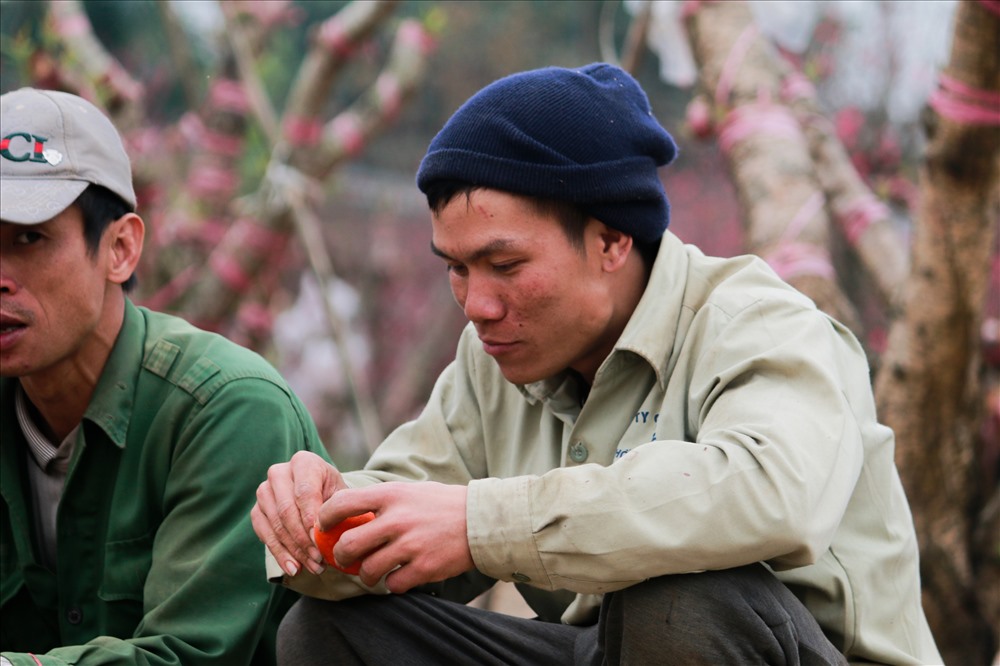 Anh Hùng ở huyện sông Lô Vĩnh Phúc cho biết: “Tôi đến đây từ tháng đầu 10 ai gọi gì cũng làm, anh em cửu vạn (những người làm nghề bốc vác, nặng nhọc) làm việc bằng sức lực, cứ có tiền là làm thôi.