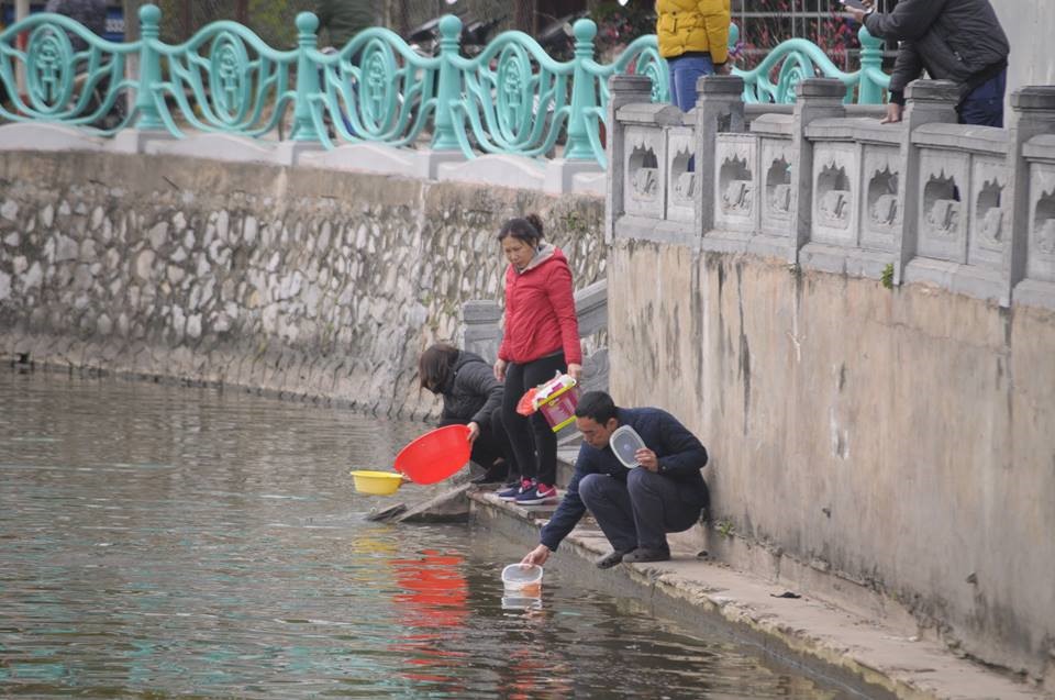 Người dân thả cá phóng sinh nhân ngày ông công, ông táo.