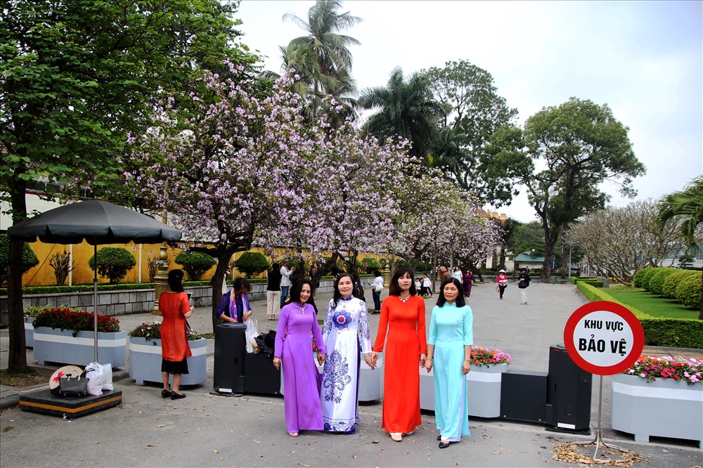 Cô Nguyễn Thu Huyền (áo tím, Cửa Nam, Hà Nội) cho biết: “Gia đình cô ở gần đây nên đã biết đến con đường hoa ban này. Trong không khí tràn ngập sắc xuân, được lưu giữ những bức ảnh đẹp tại con đường ngay sau lăng Bác cũng là điều cô cảm thấy rất thiêng liêng”