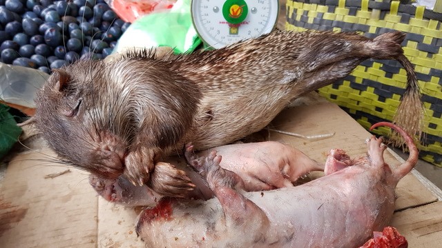 Những con thú còn lông và đã bị “làm lông” chờ đến tay thực khách