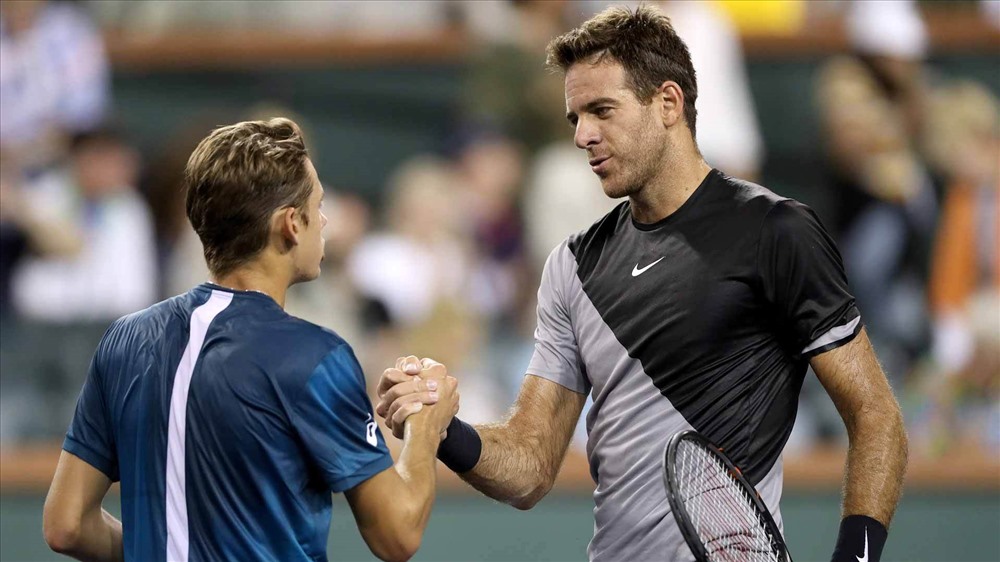 Del Potro khá vất vả vượt qua lão tướng Ferer. Ảnh: Getty.