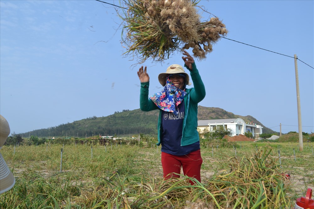 Nụ cười tươi tắn, rạng rỡ hiện rõ trên đôi môi người nông dân Lý Sơn