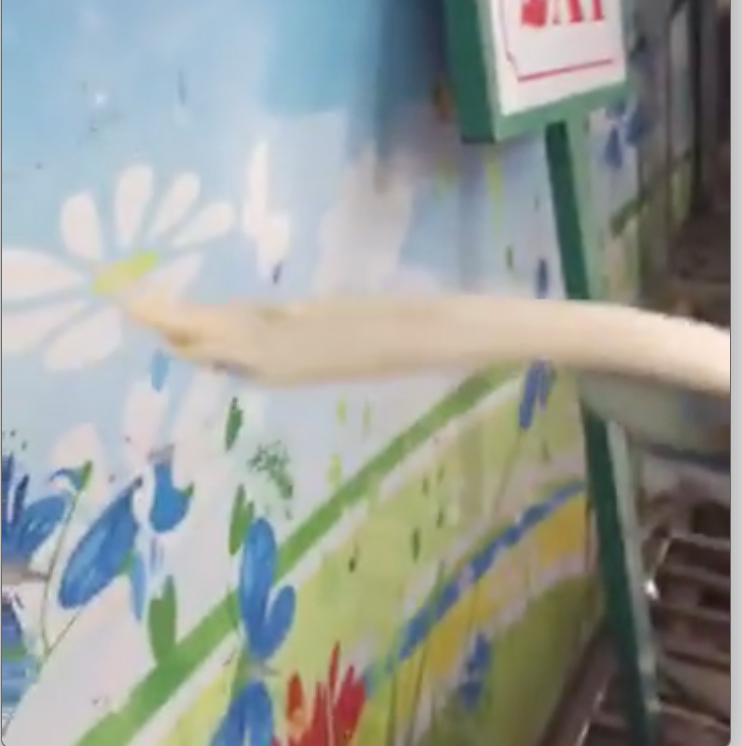 Miếng chả mỏng như tờ giấy.