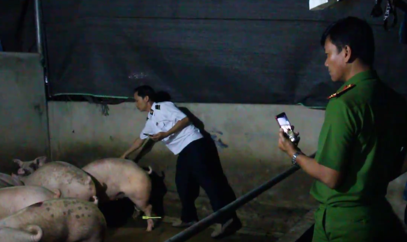 Cơ quan chức năng kiểm tra cơ sở heo tại TP.Biên Hòa