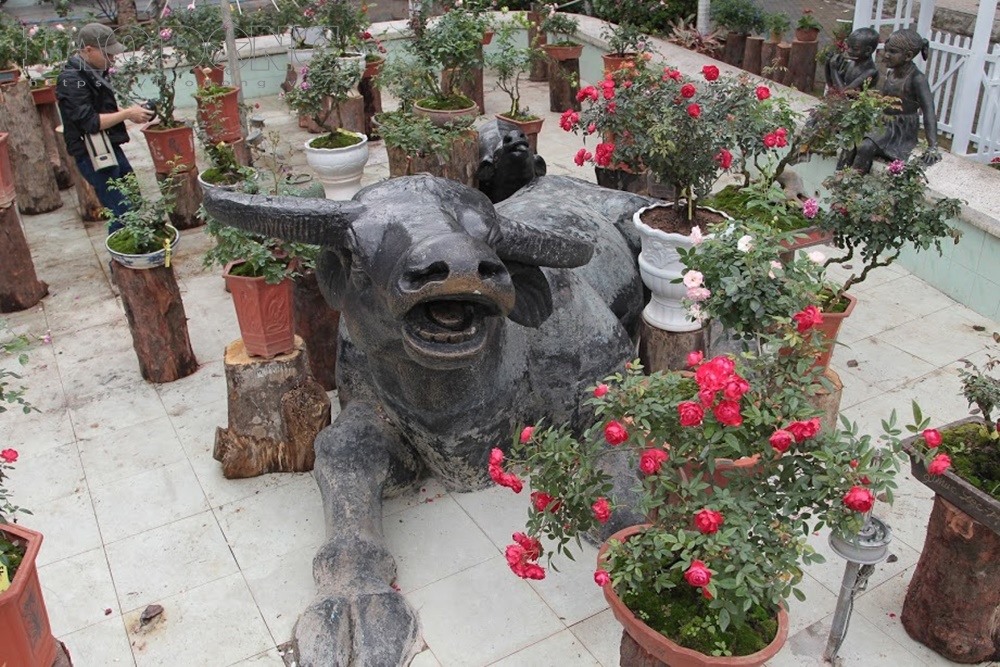 Lễ hội hoa hồng lần thứ 2 được tổ chức tại Công viên nước Hồ Tây được tổ chức từ ngày 8/3 đến ngày 11/3 với chủ đề “Ngày hội hoa hồng Bulgaria và bạn bè” hứa hẹn sẽ thu hút hàng vạn người Thủ đô cũng như các tỉnh lân cận đến chiêm ngưỡng.