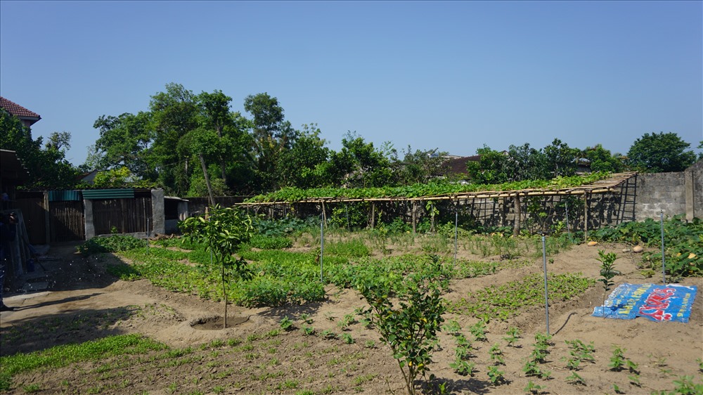 Trong thôn Phong Giang có nhiều khu vườn mẫu nông thôn mới đang được xây dựng. Ảnh: Trần Lưu
