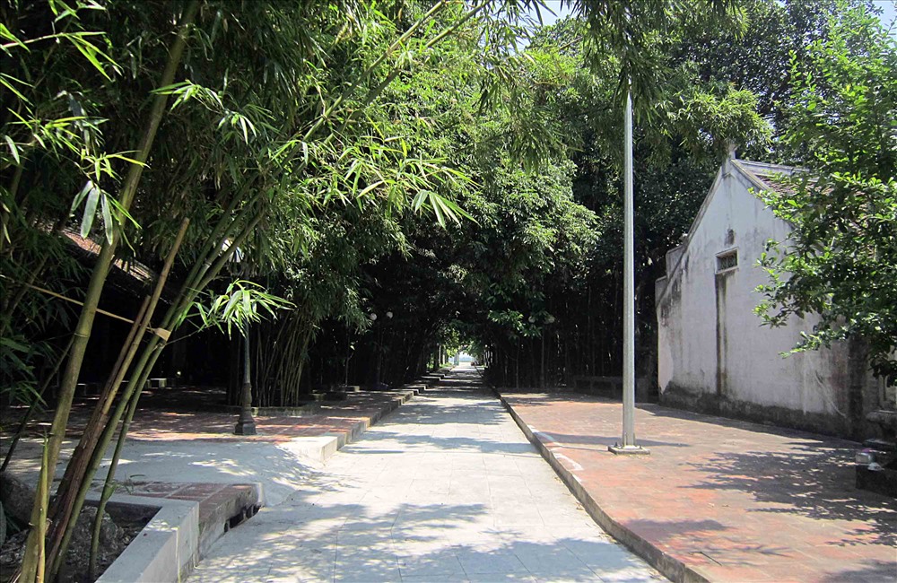 Con đường vào đền Trúc nằm giữa rừng trúc. Ảnh. Hoàng Huế