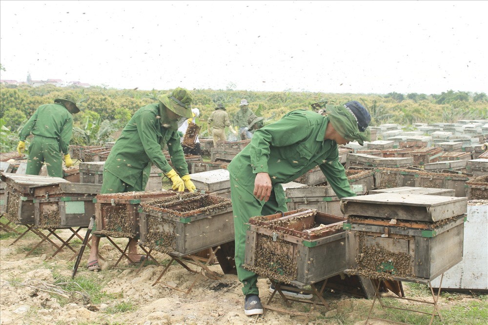 Người dân mang trang phục bảo hộ, đeo khăn, đội mũ để tránh bị ong tấn công