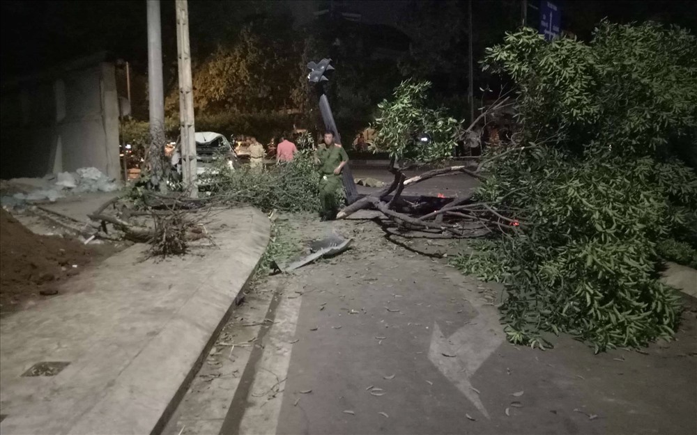 Cây xanh và đèn tín hiệu giao thông bị xe bán tải quật ngã. Ảnh: T.S