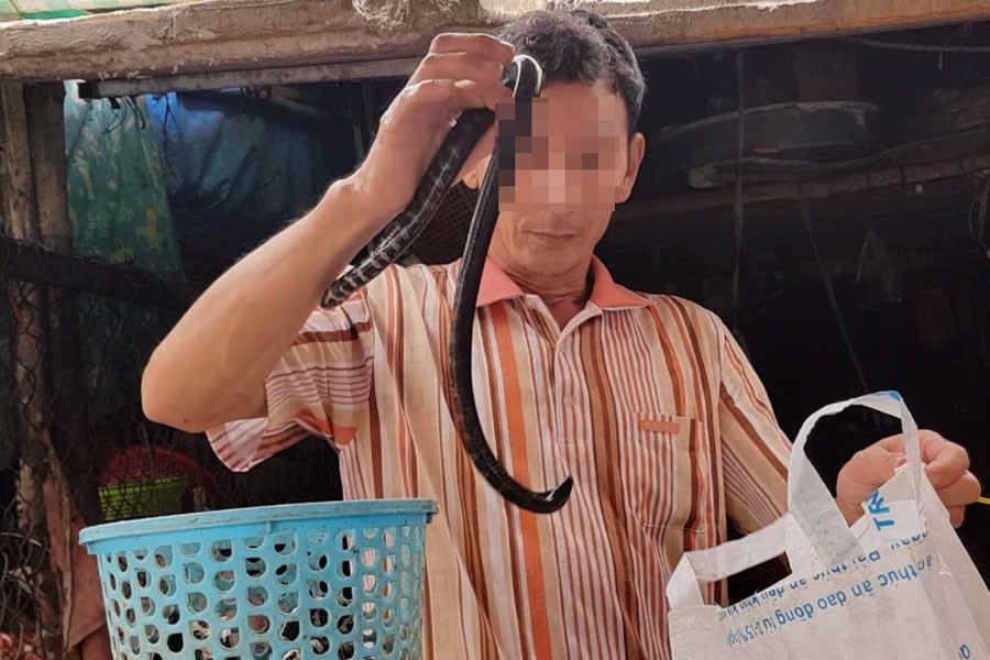 Dọc các xã vùng An Phú mà chúng tôi khảo sát, rắn các loại được bày bán và giết thịt công khai.